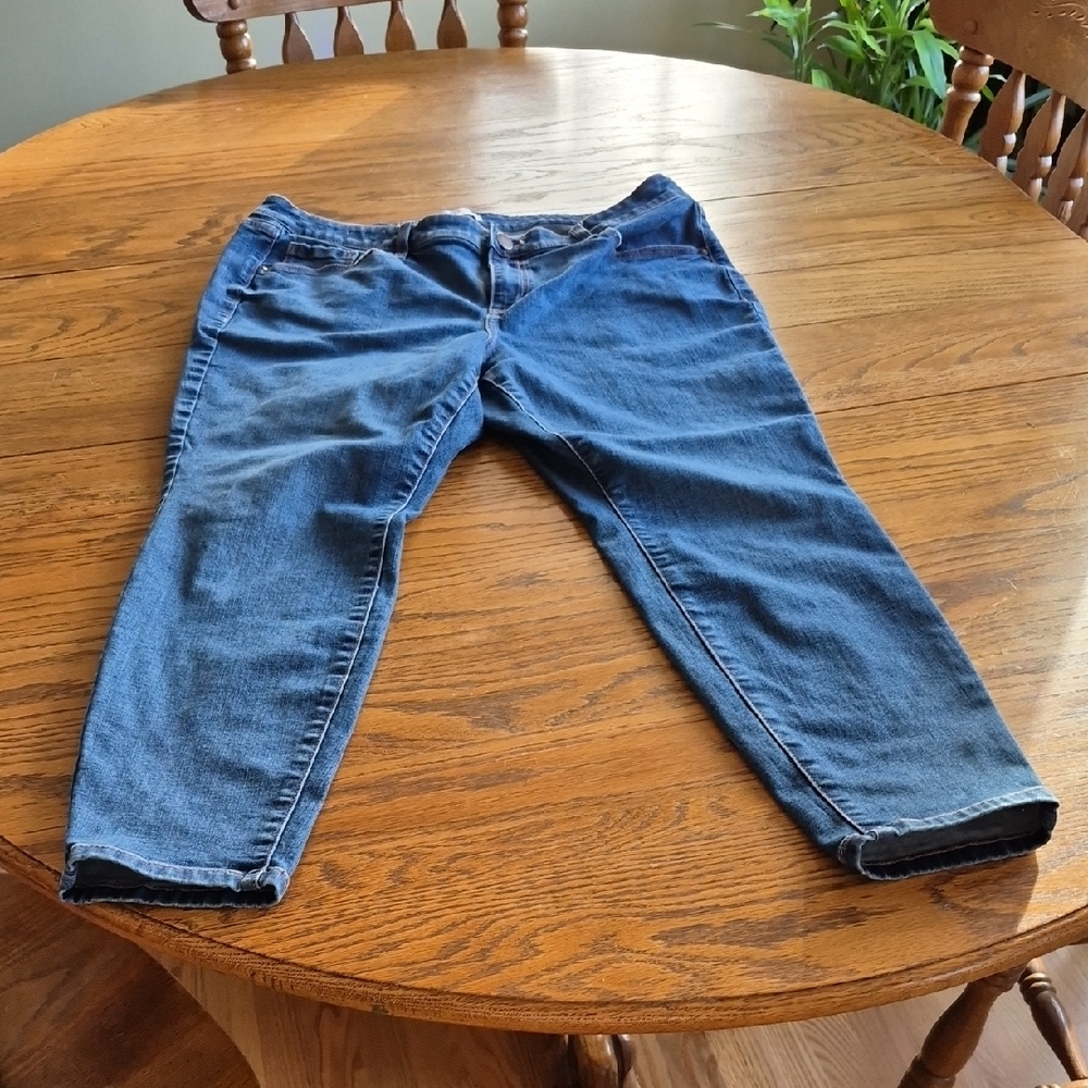 Lane Bryant Blue Denim Jeans